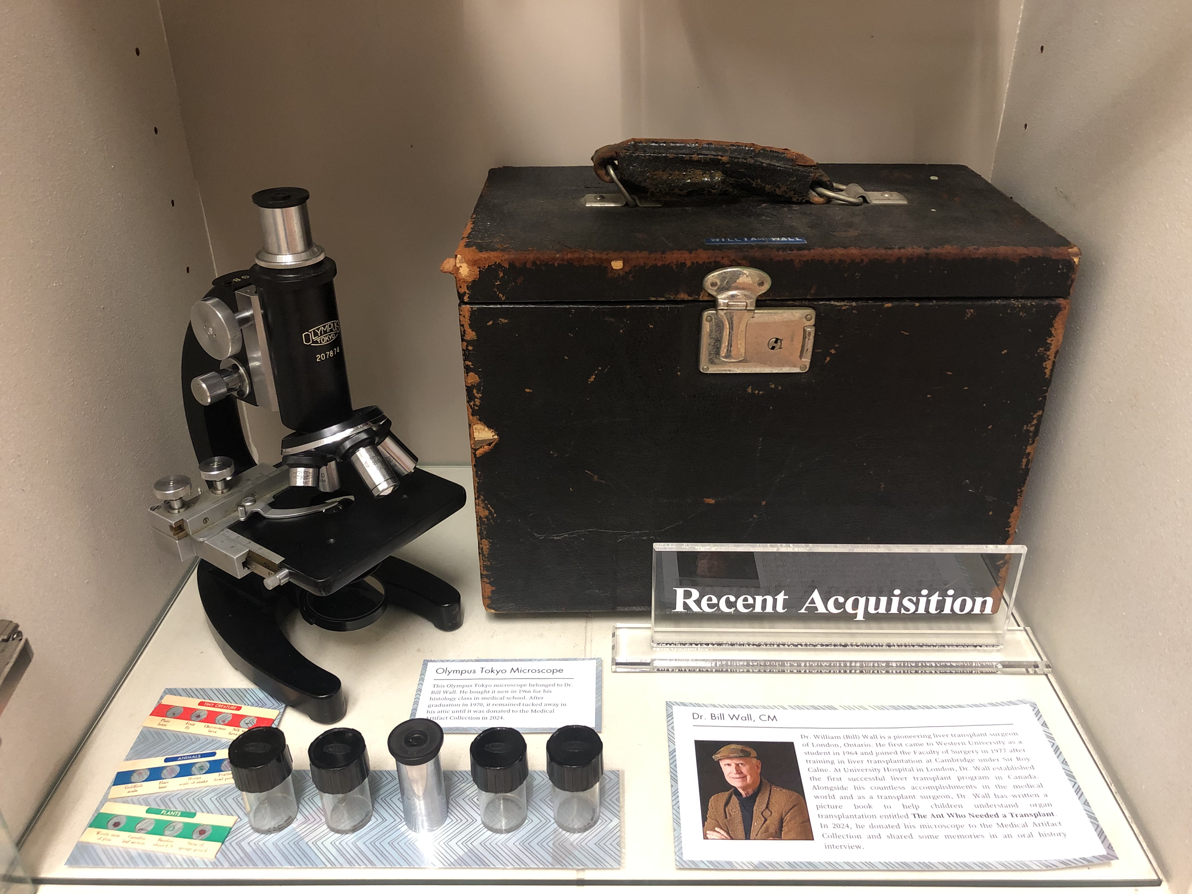 Bottom shelf of display case